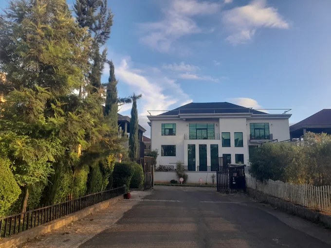 Habesha Movers moving truck and relocation team in Addis Ababa